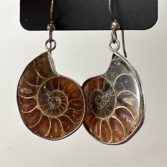 Ammonite Fossil Shell Earrings Raw Open Back Polished Front Natural Fossils - Picture 1 of 3
